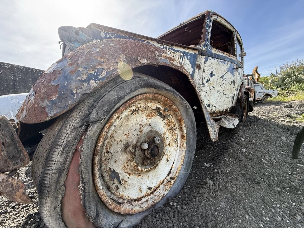 IMG_0378 – grande.jpeg