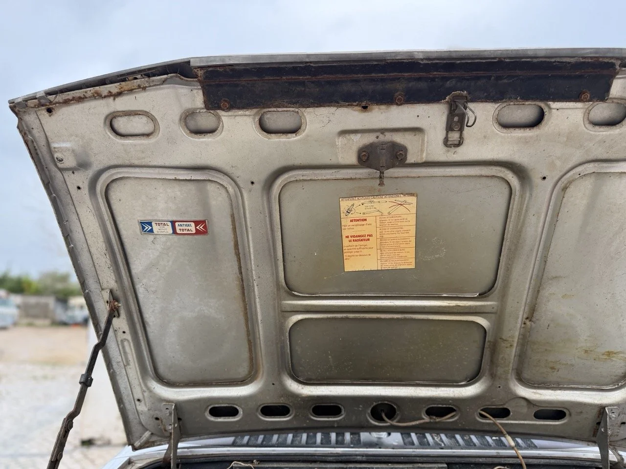 IMG_0525 – grande.jpeg