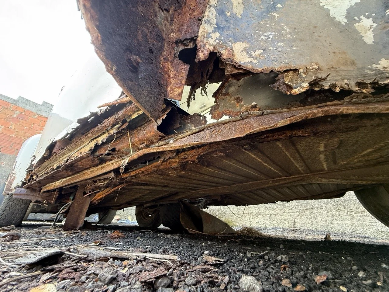 IMG_0656 – grande.jpeg