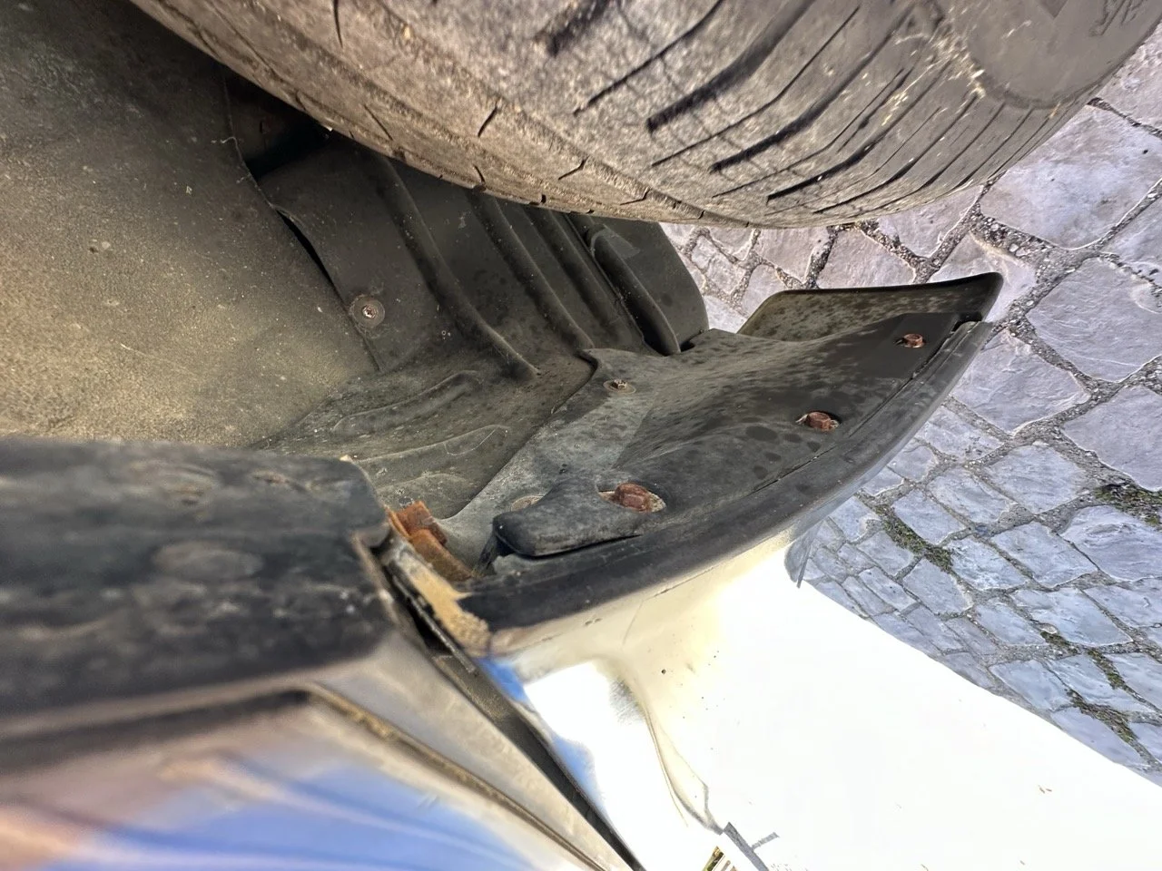 IMG_3134 – grande.jpeg