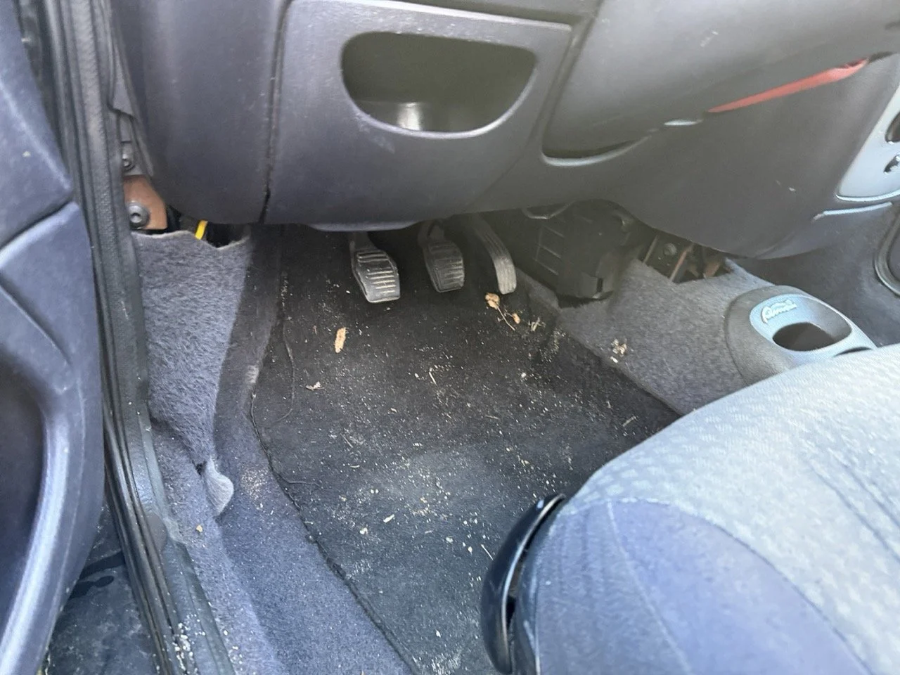 IMG_5303 – grande.jpeg