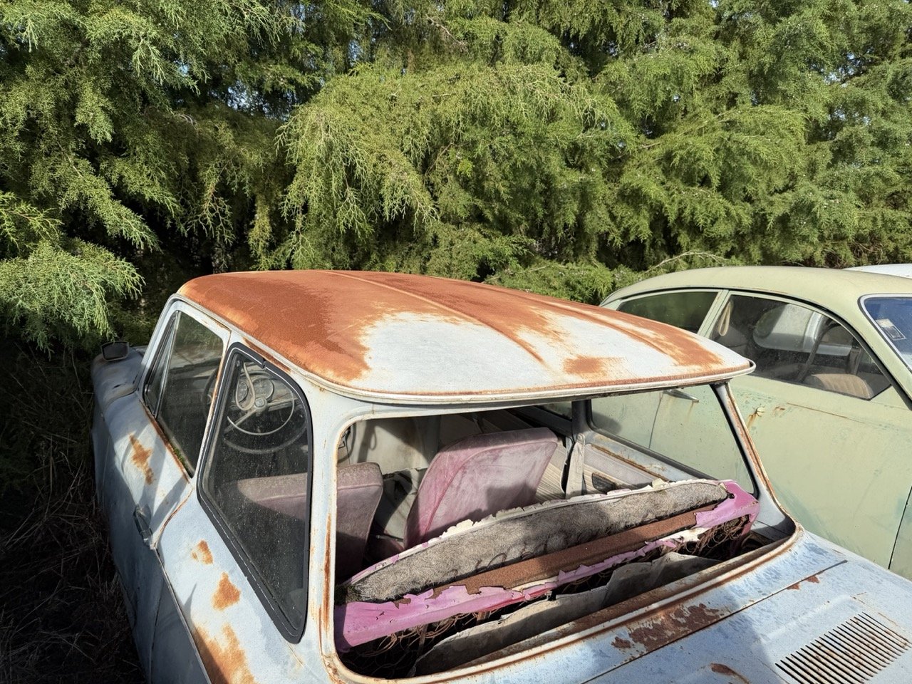 IMG_8549 – grande.jpeg