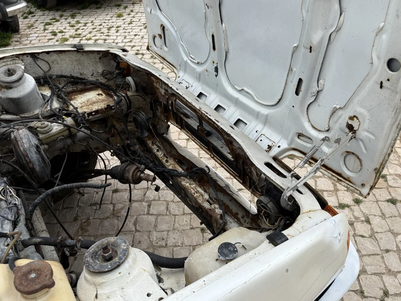 IMG_8540 – grande.jpeg