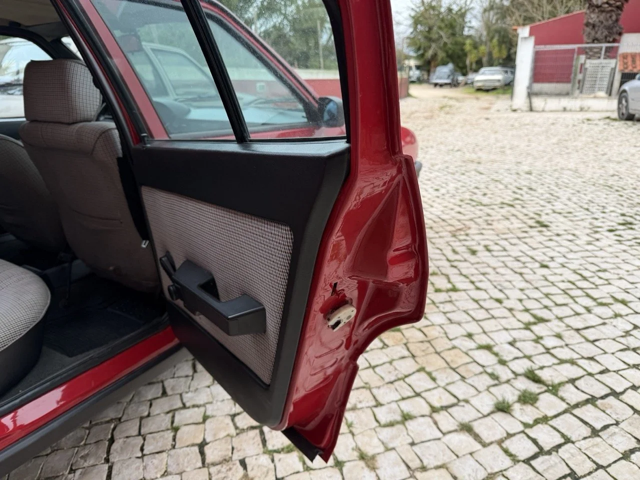 IMG_3459 – grande.jpeg