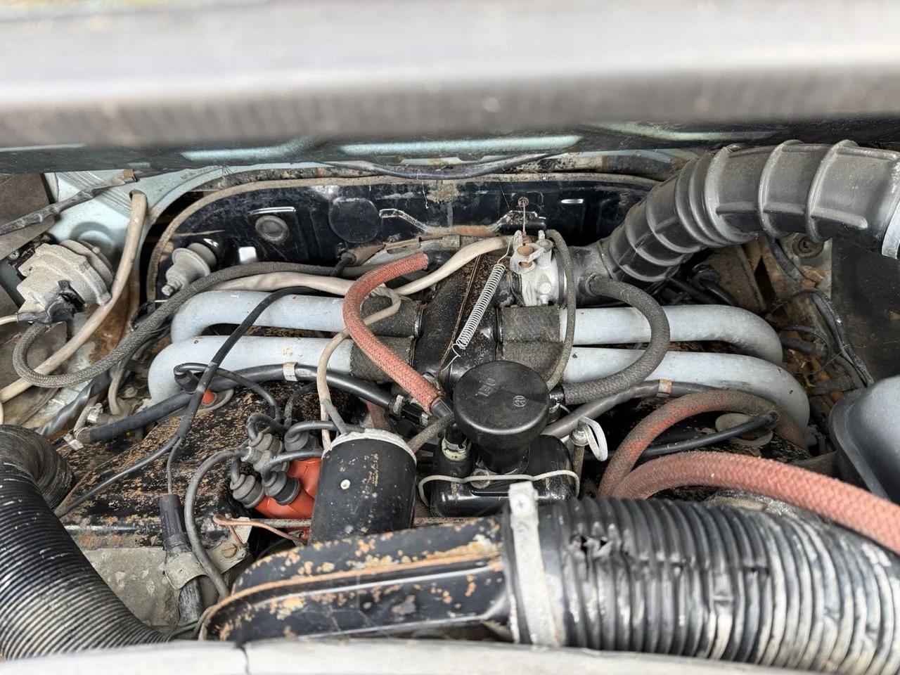 IMG_4795 – grande.jpeg