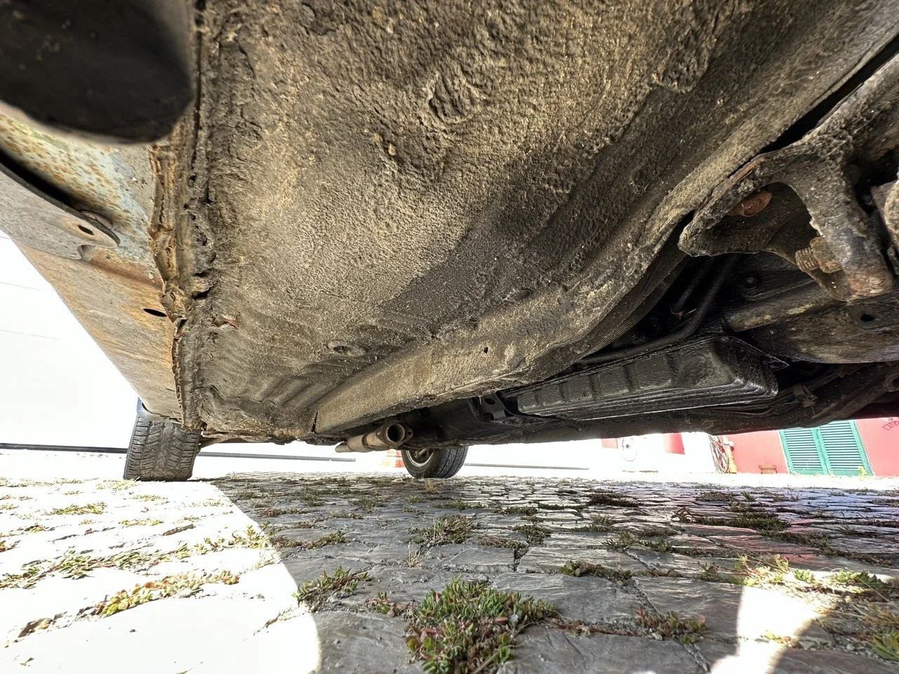 IMG_7258 – grande.jpeg