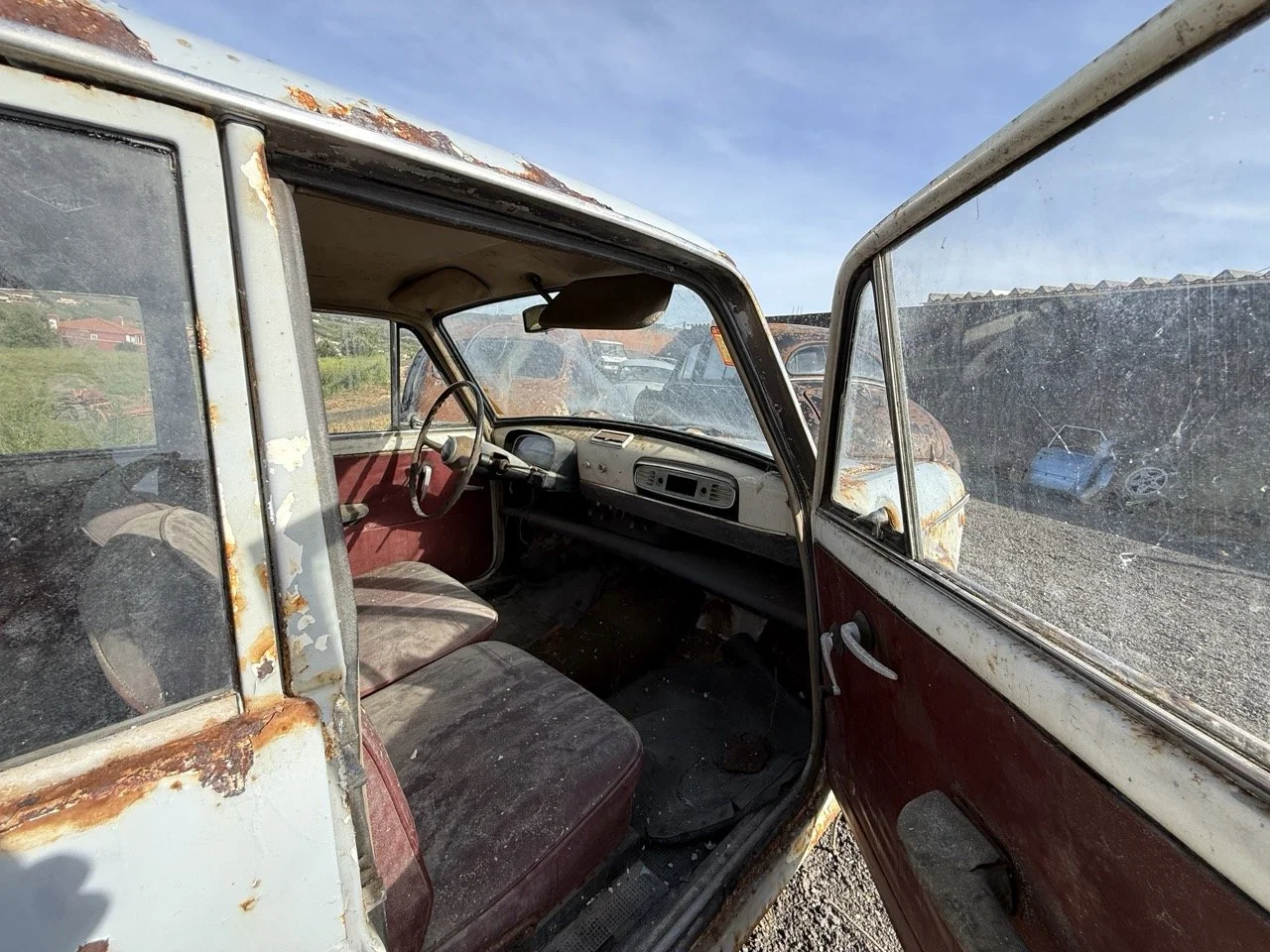 IMG_0505 – grande.jpeg