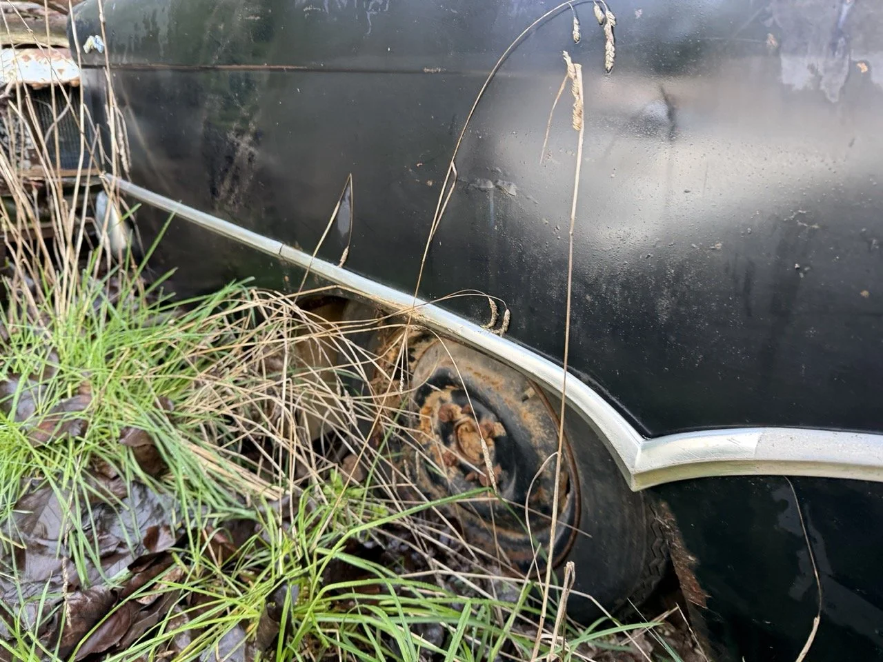 IMG_5043 – grande.jpeg