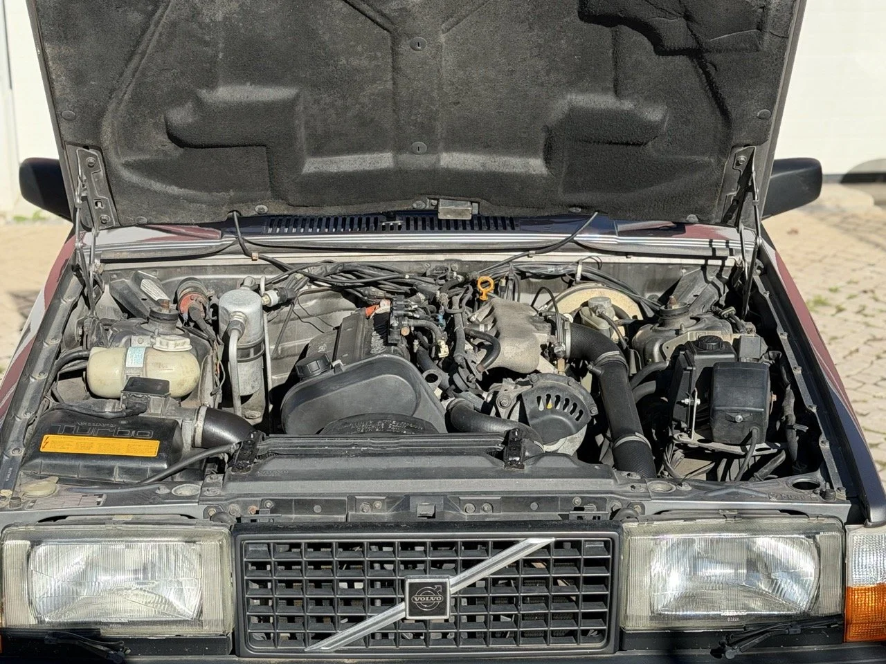 IMG_1972 – grande.jpeg