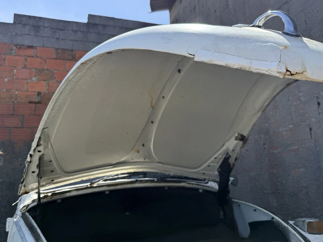 IMG_0711 – grande.jpeg