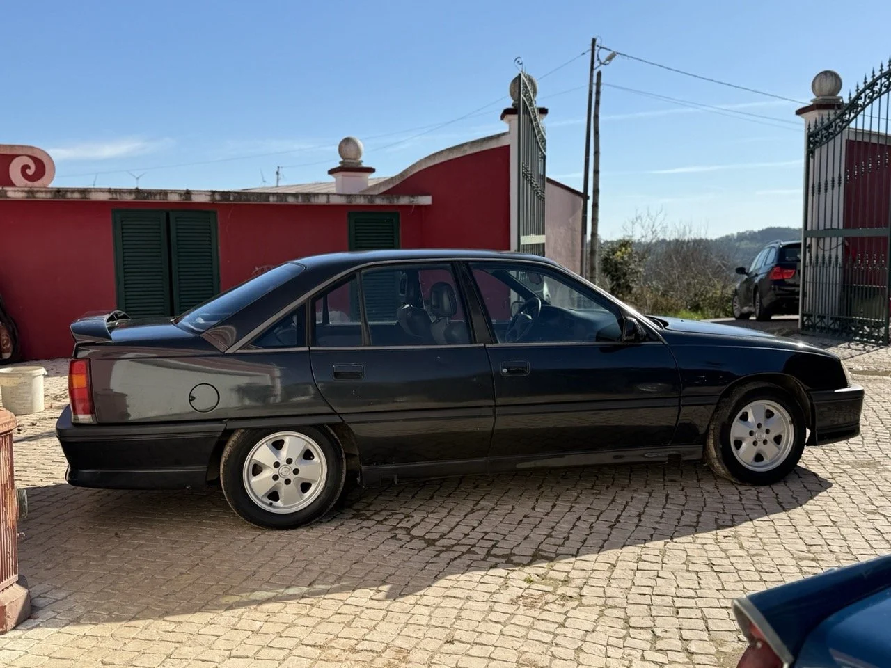 IMG_2707 – grande.jpeg