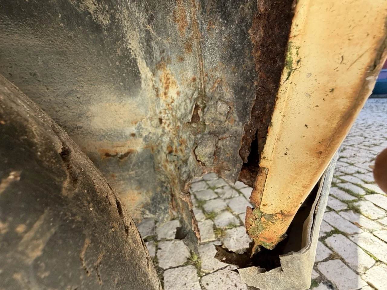 IMG_7072 – grande.jpeg