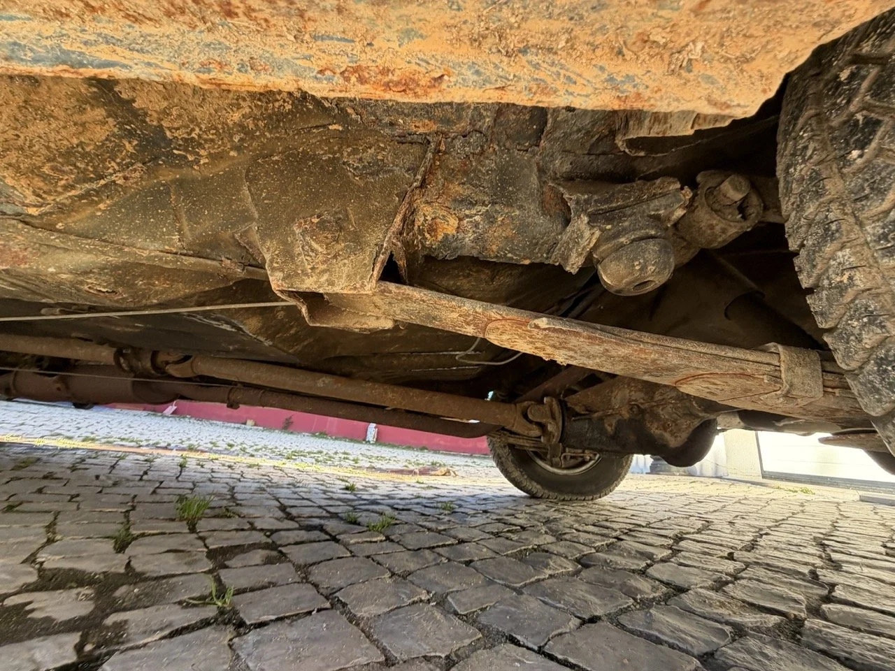 IMG_1907 – grande.jpeg