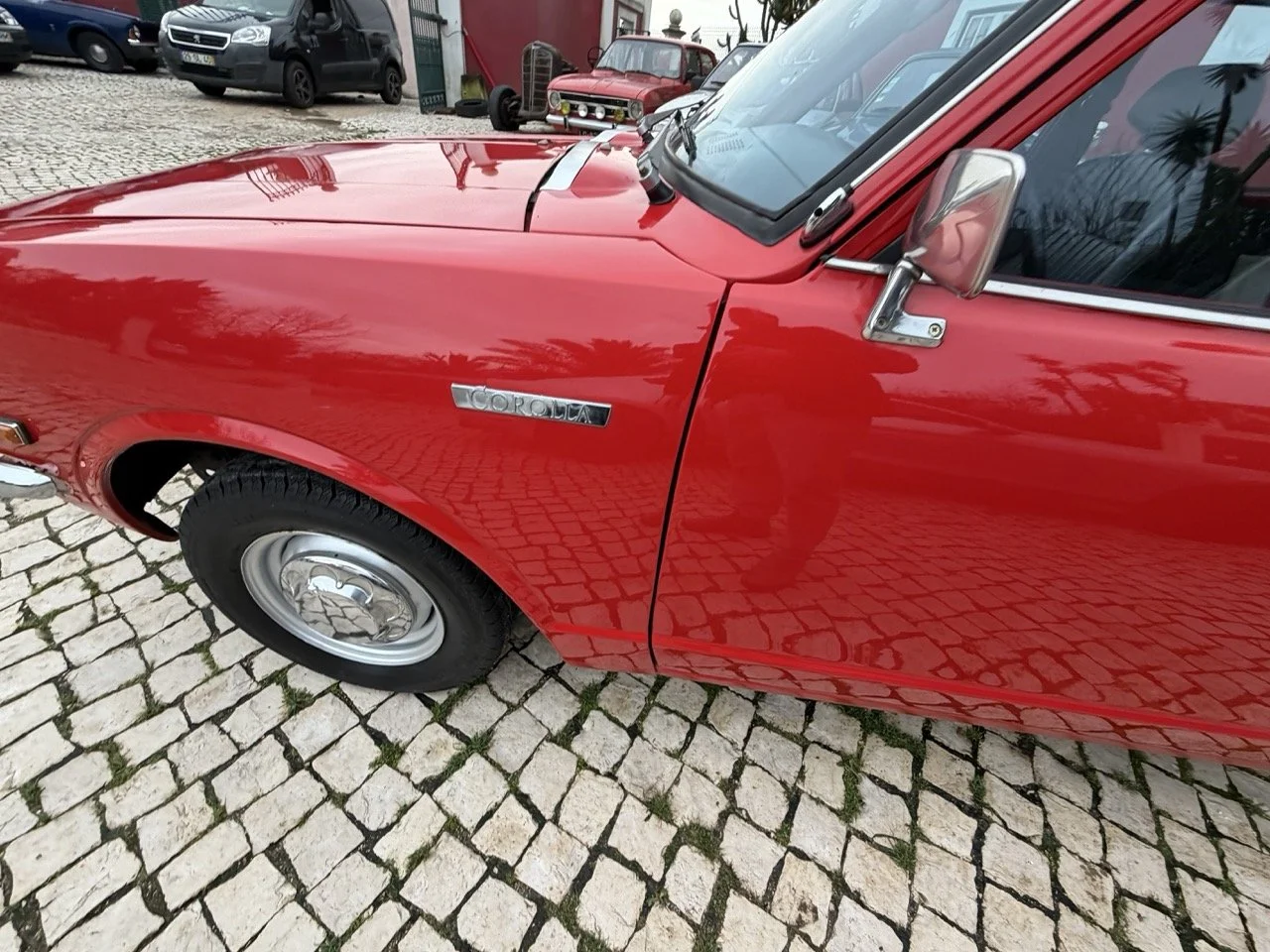 IMG_8325 – grande.jpeg