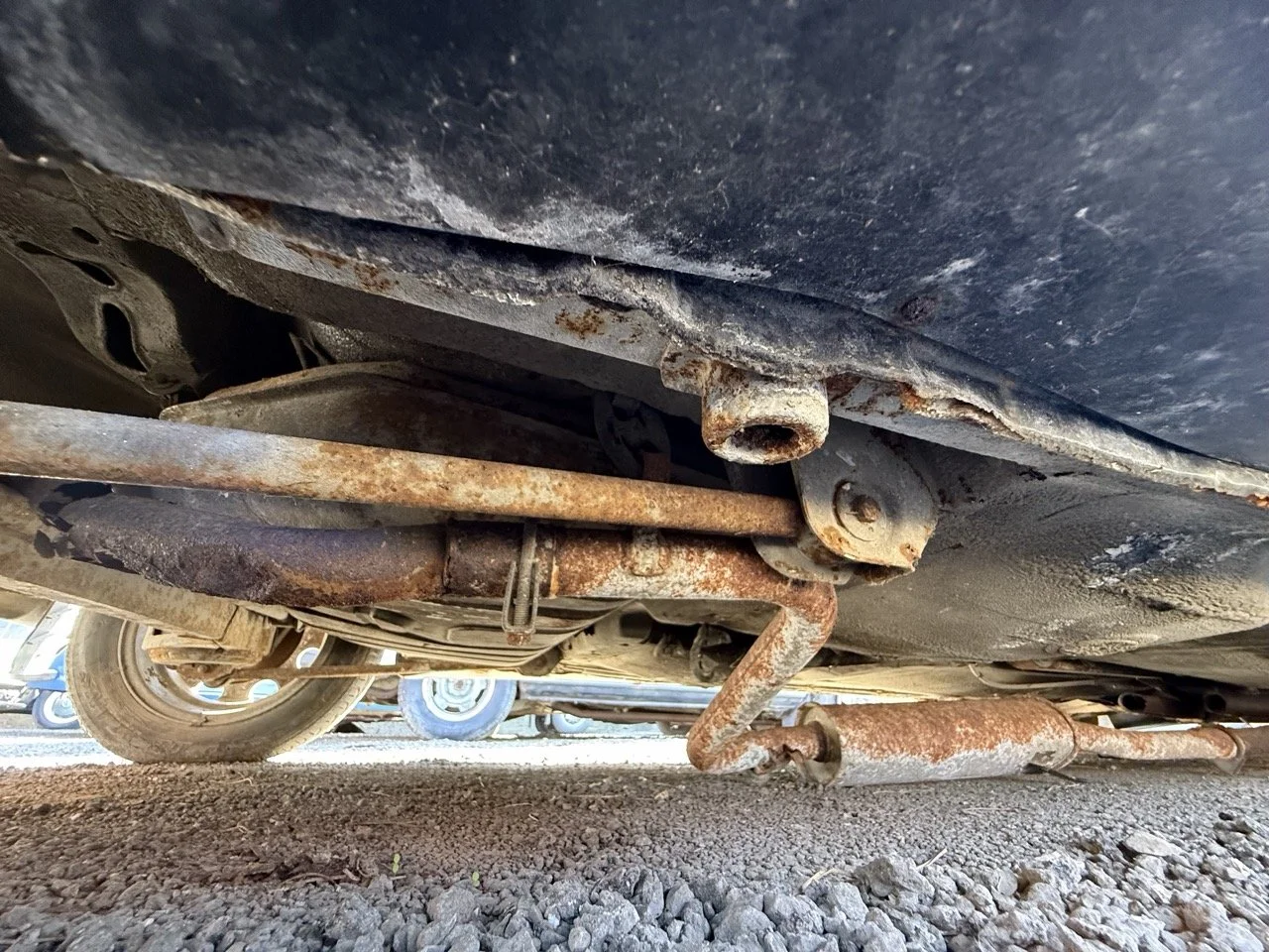 IMG_2958 – grande.jpeg