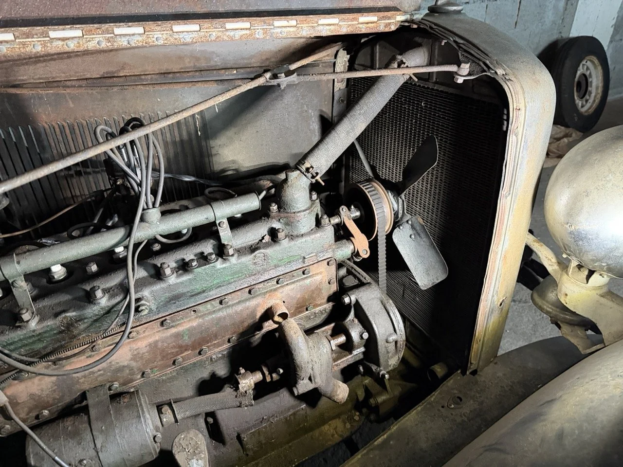 IMG_2445 – grande.jpeg