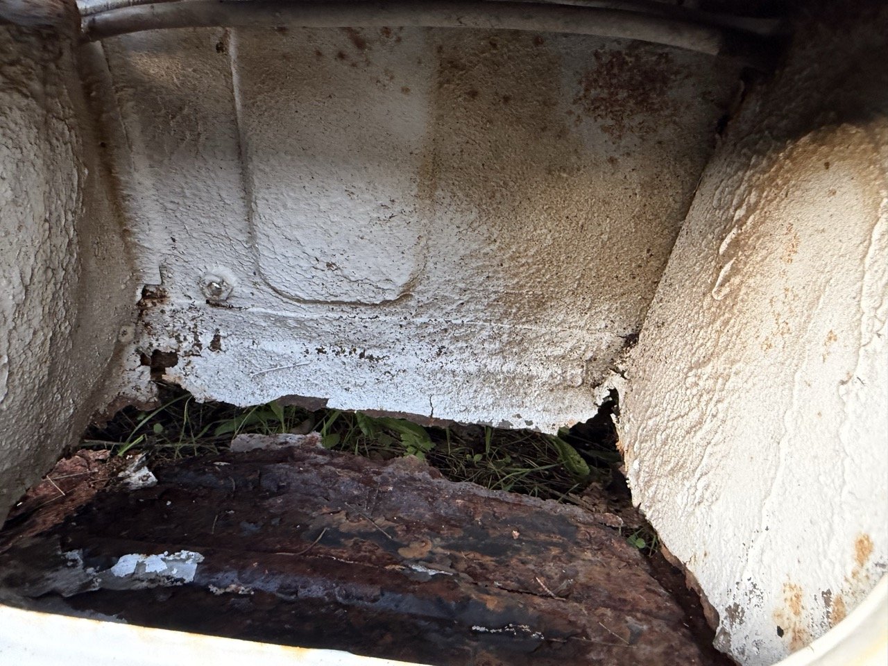 IMG_0907 – grande.jpeg