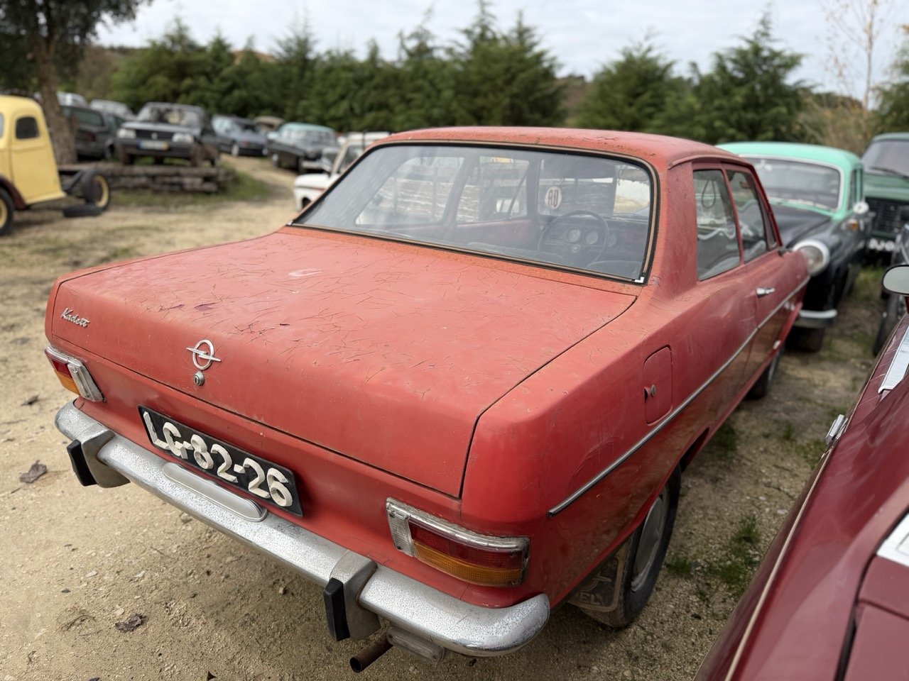 IMG_4970 – grande.jpeg