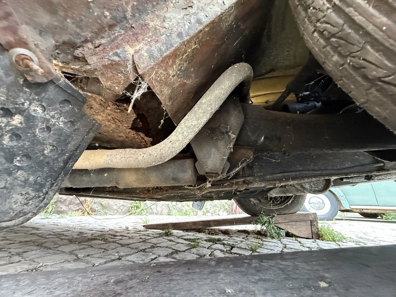 IMG_3807 – grande.jpeg