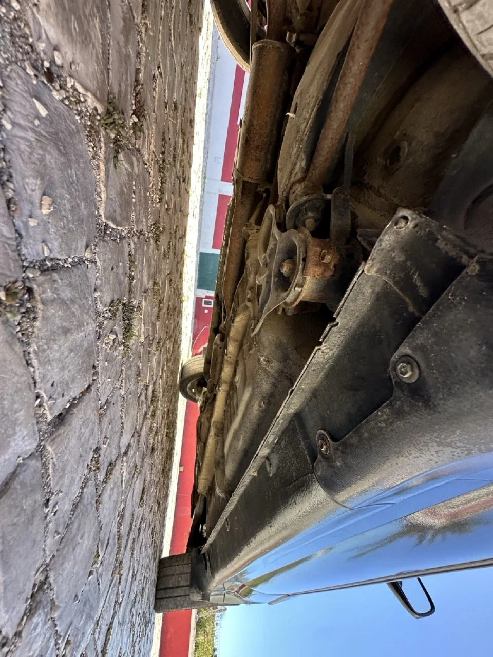 IMG_3136 – grande.jpeg