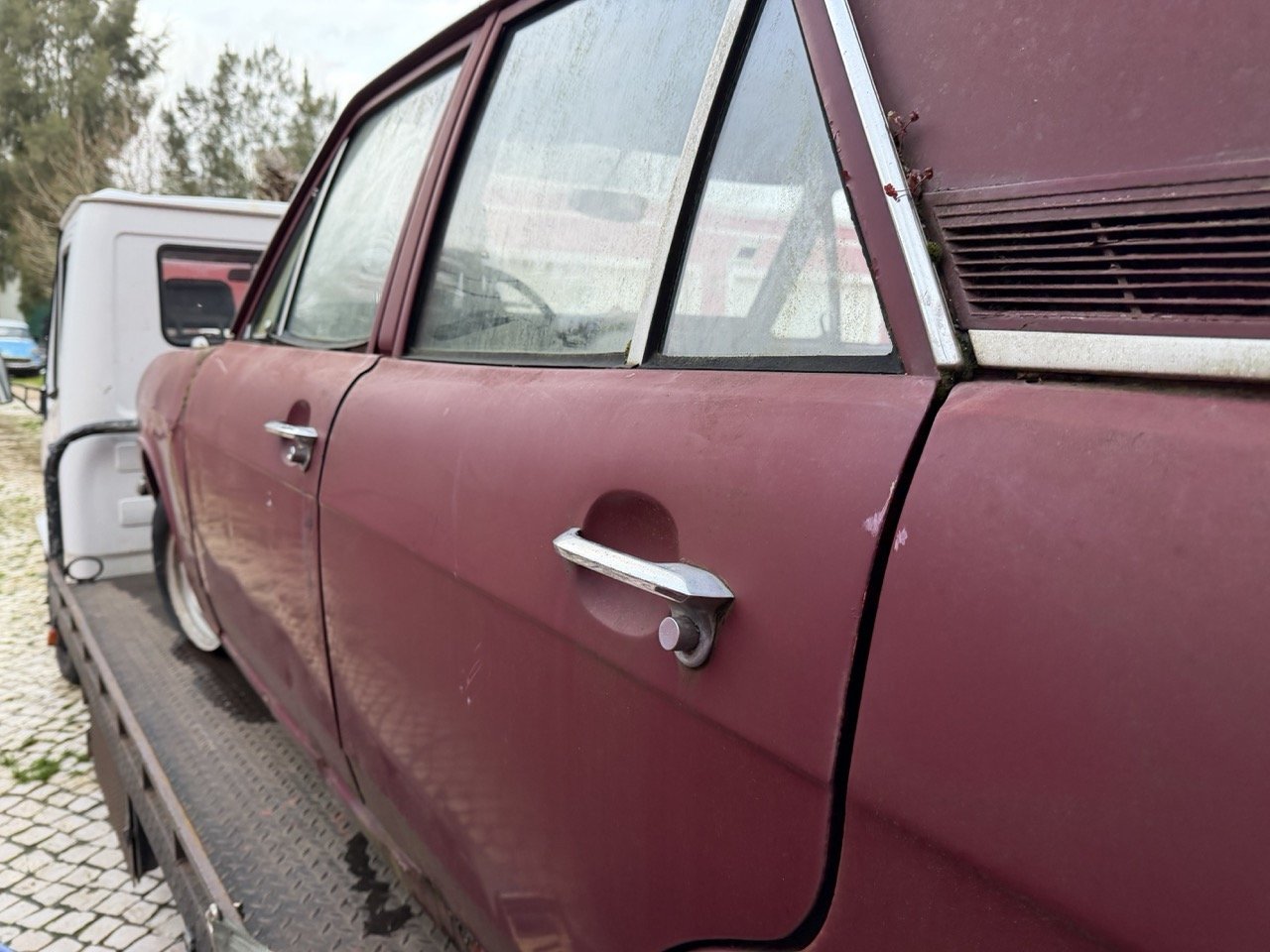 IMG_8999 – grande.jpeg