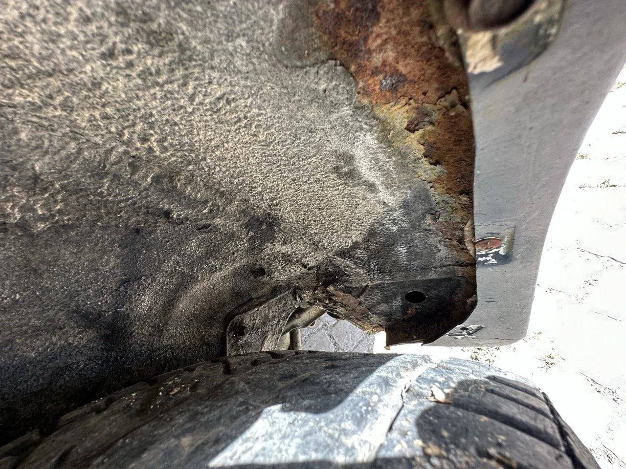 IMG_7252 – grande.jpeg