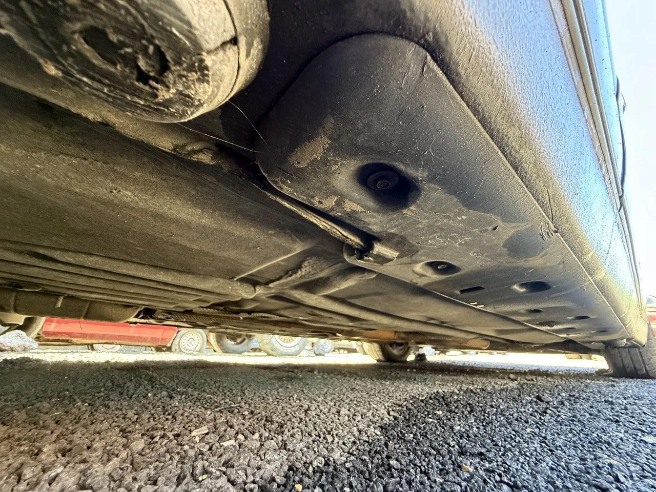 IMG_1805 – grande.jpeg