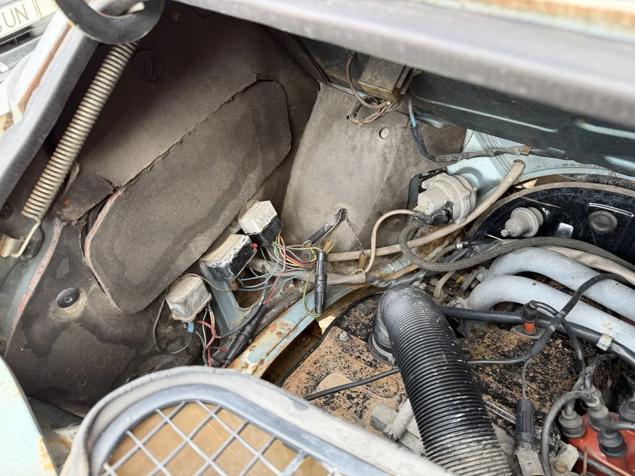 IMG_4796 – grande.jpeg