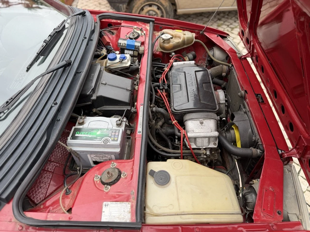 IMG_3474 – grande.jpeg