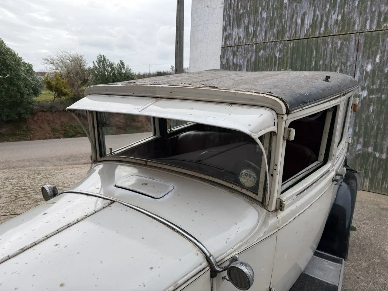 IMG_1623 – grande.jpeg