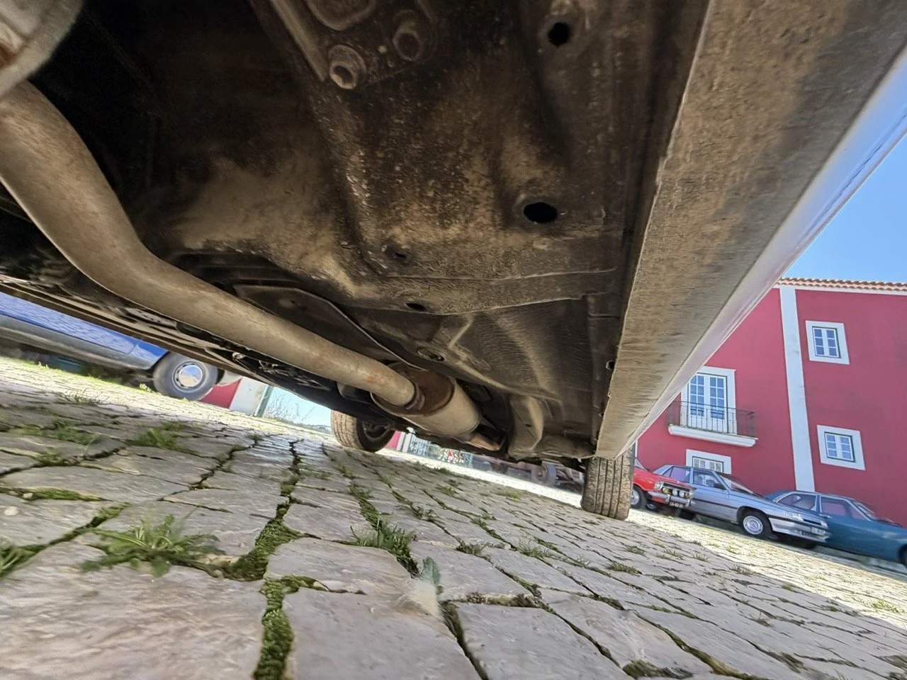 IMG_2041 – grande.jpeg