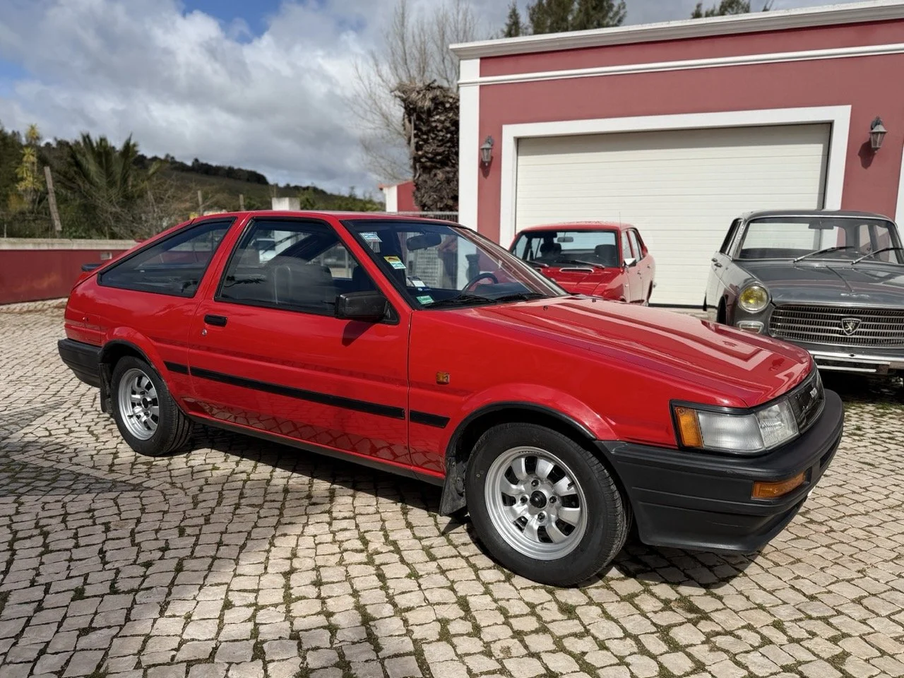 IMG_2284 – grande.jpeg