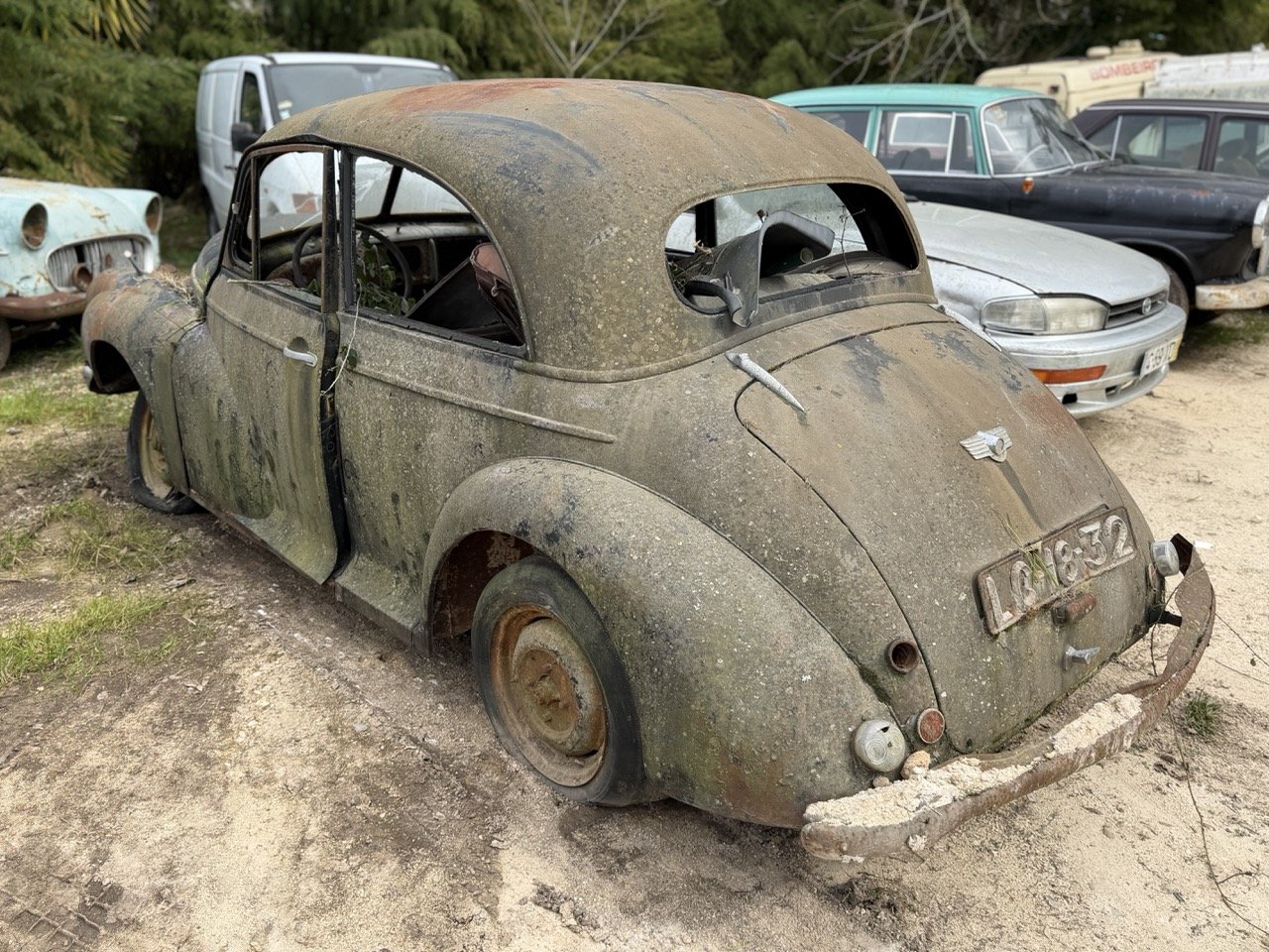 IMG_3833 – grande.jpeg