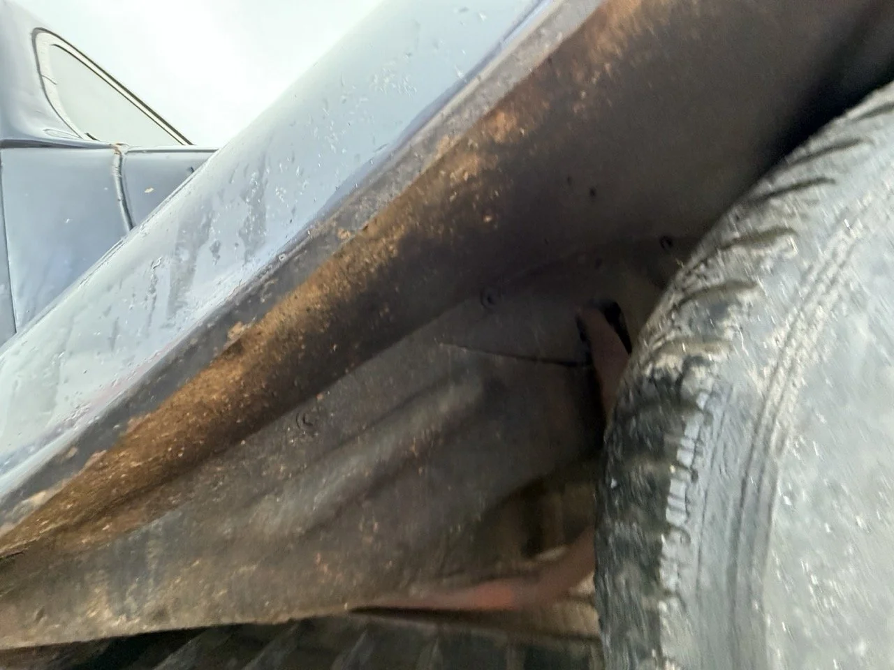 IMG_1902 – grande.jpeg