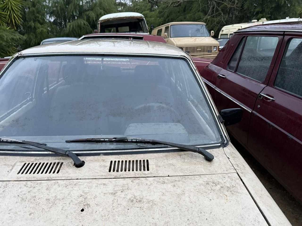 IMG_0257 – grande.jpeg