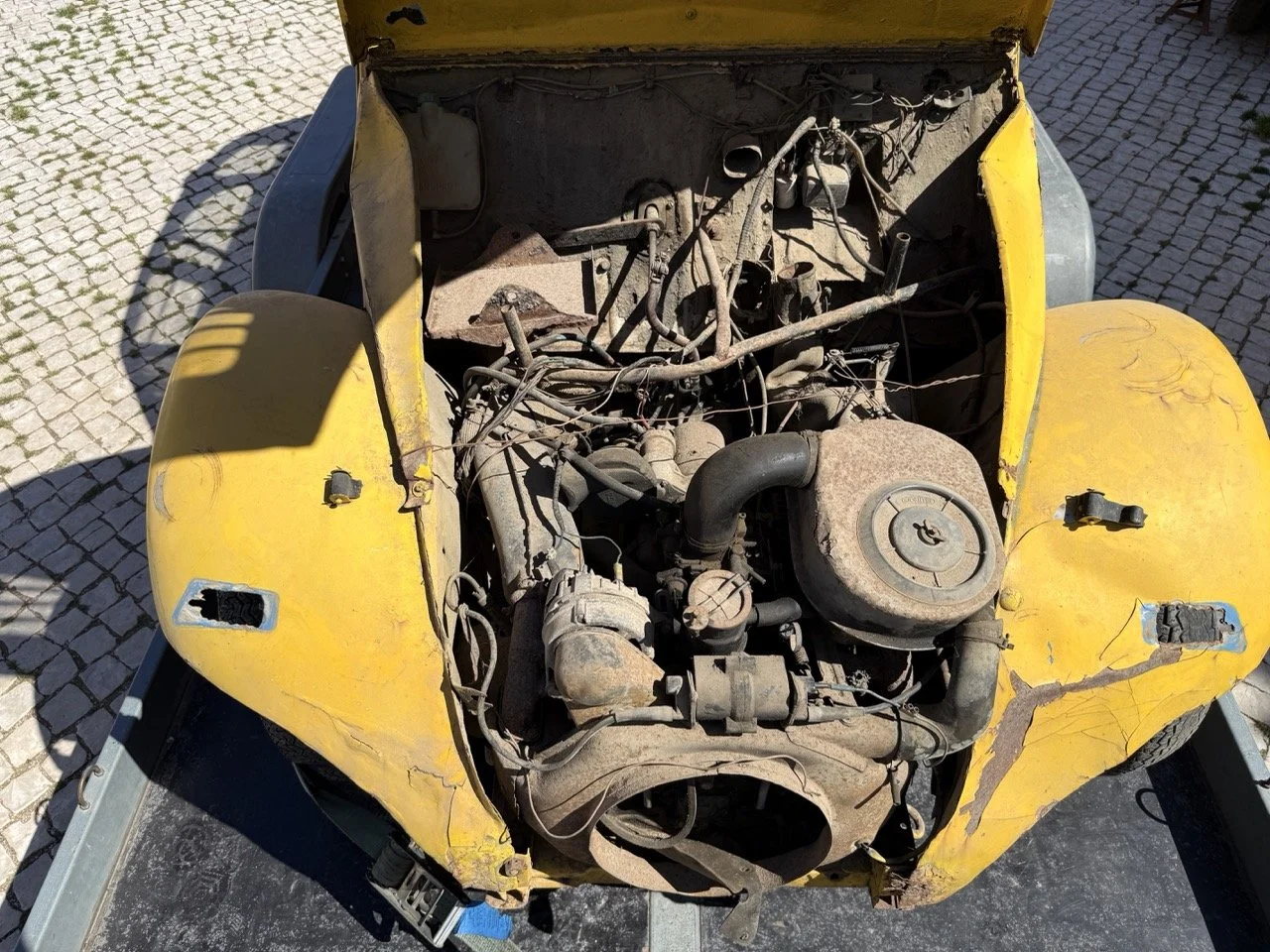 IMG_9099 – grande.jpeg