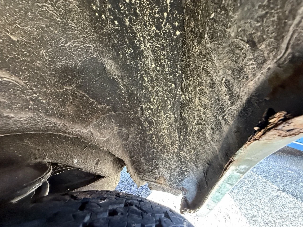 IMG_1246 – grande.jpeg