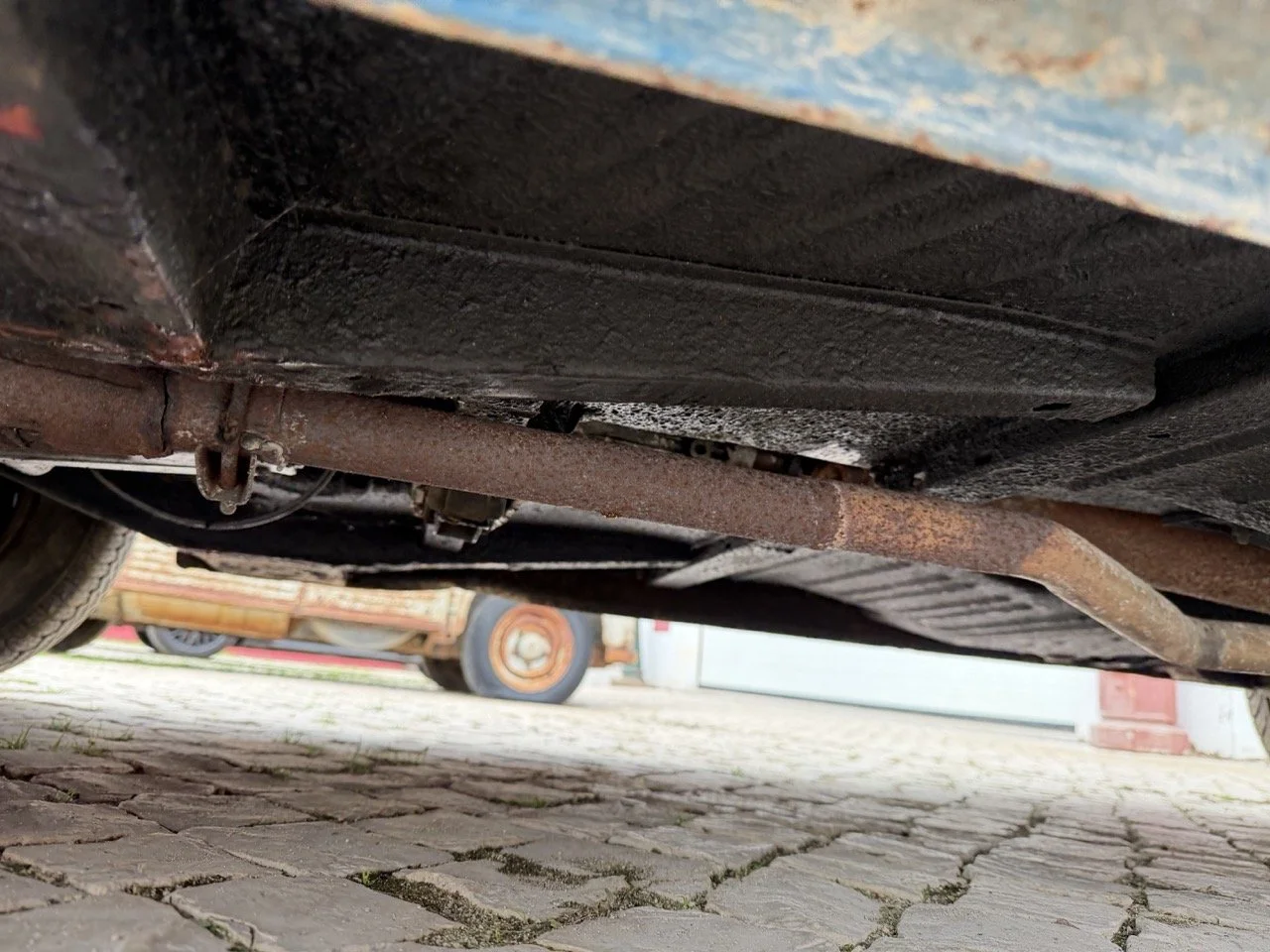 IMG_6354 – grande.jpeg