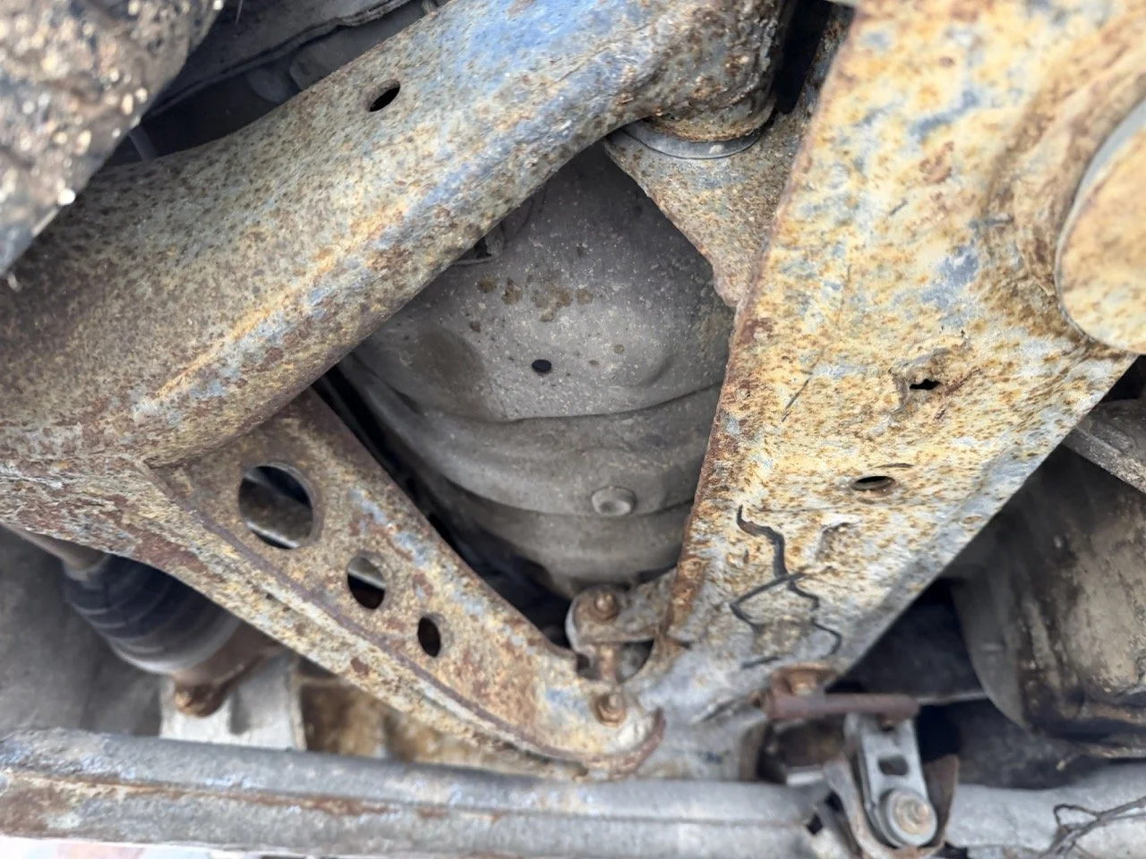 IMG_9810 – grande.jpeg