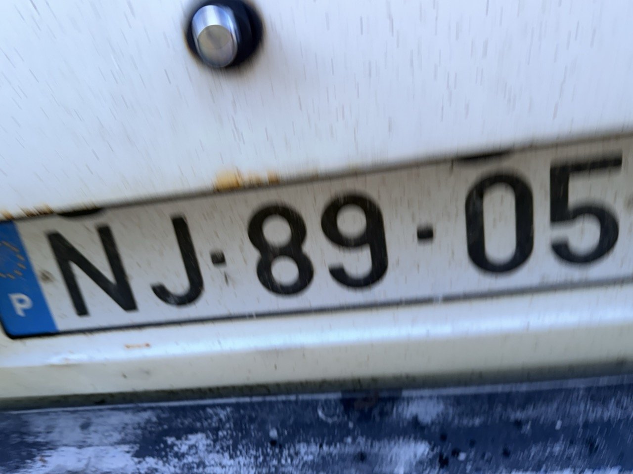 IMG_5202 – grande.jpeg