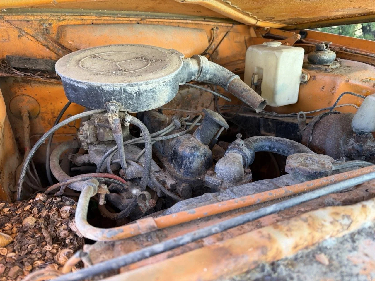 IMG_7716 – grande.jpeg