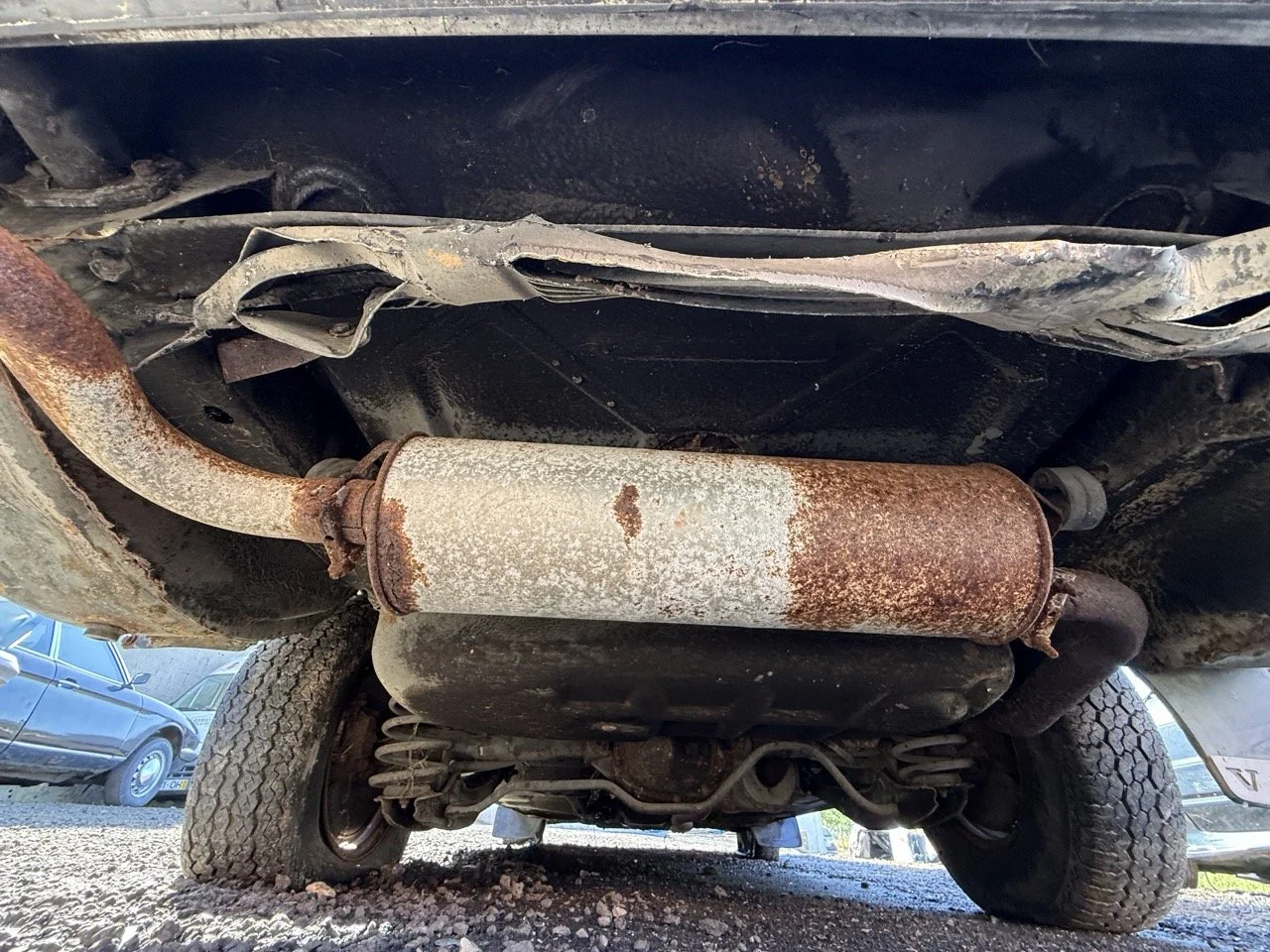 IMG_1227 – grande.jpeg