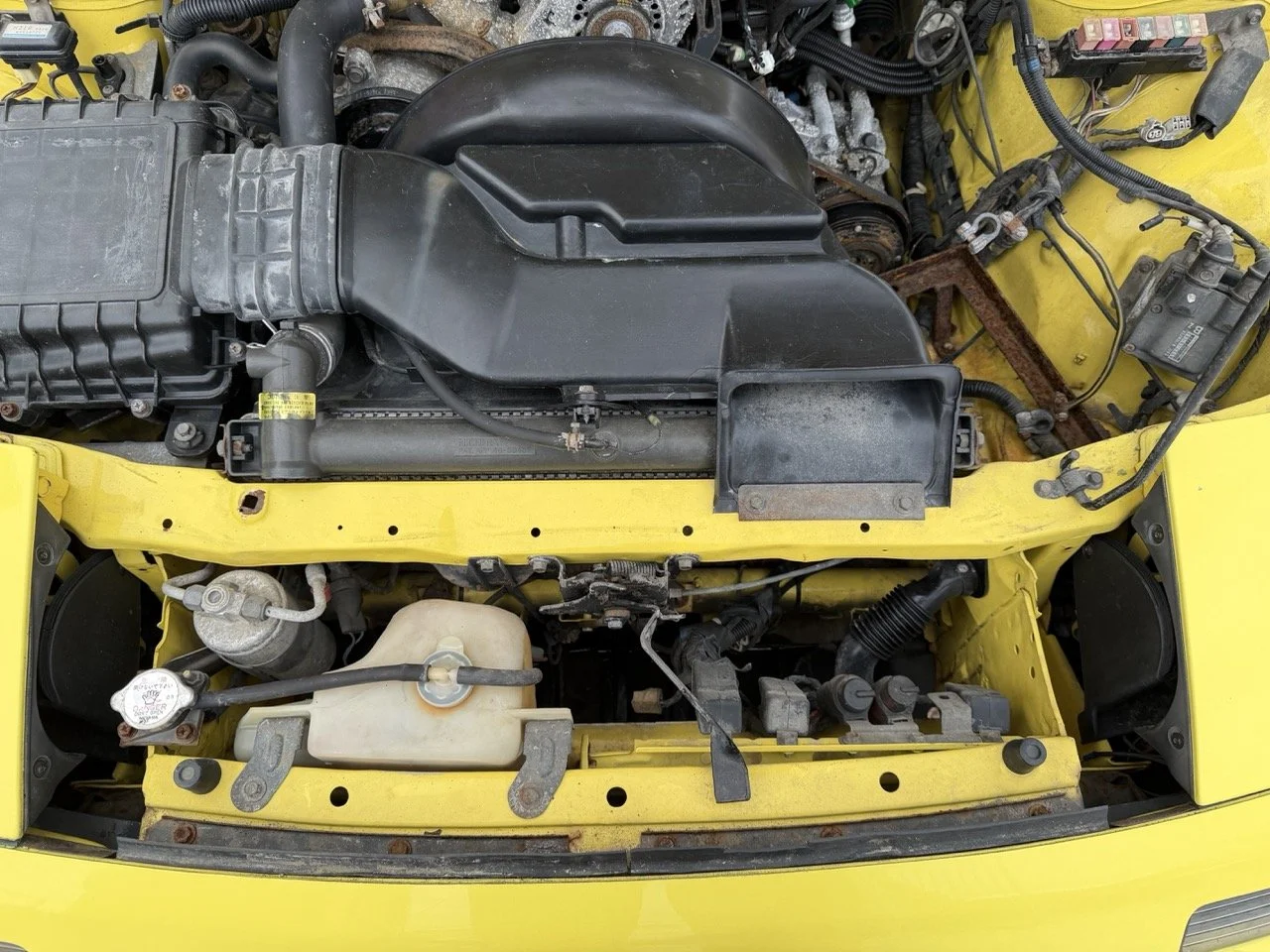 IMG_9756 – grande.jpeg