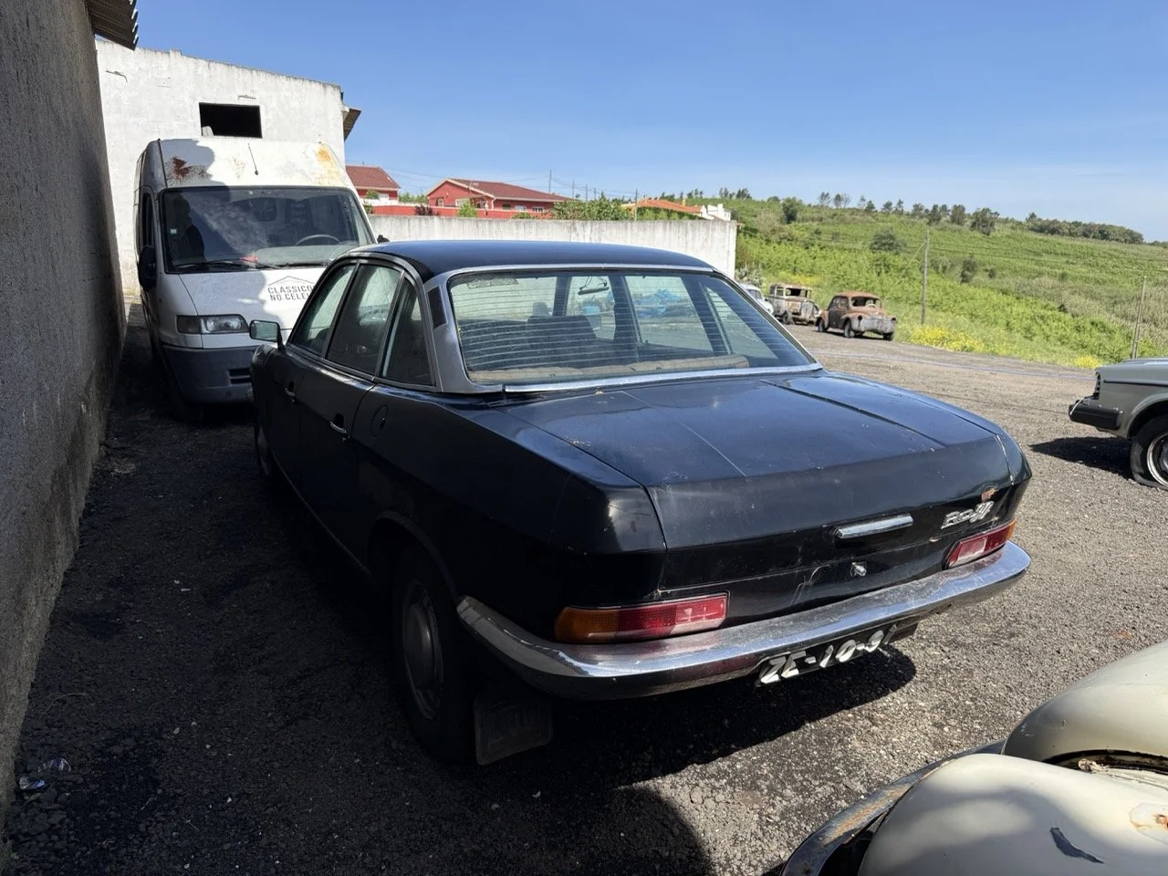 IMG_0558 – grande.jpeg