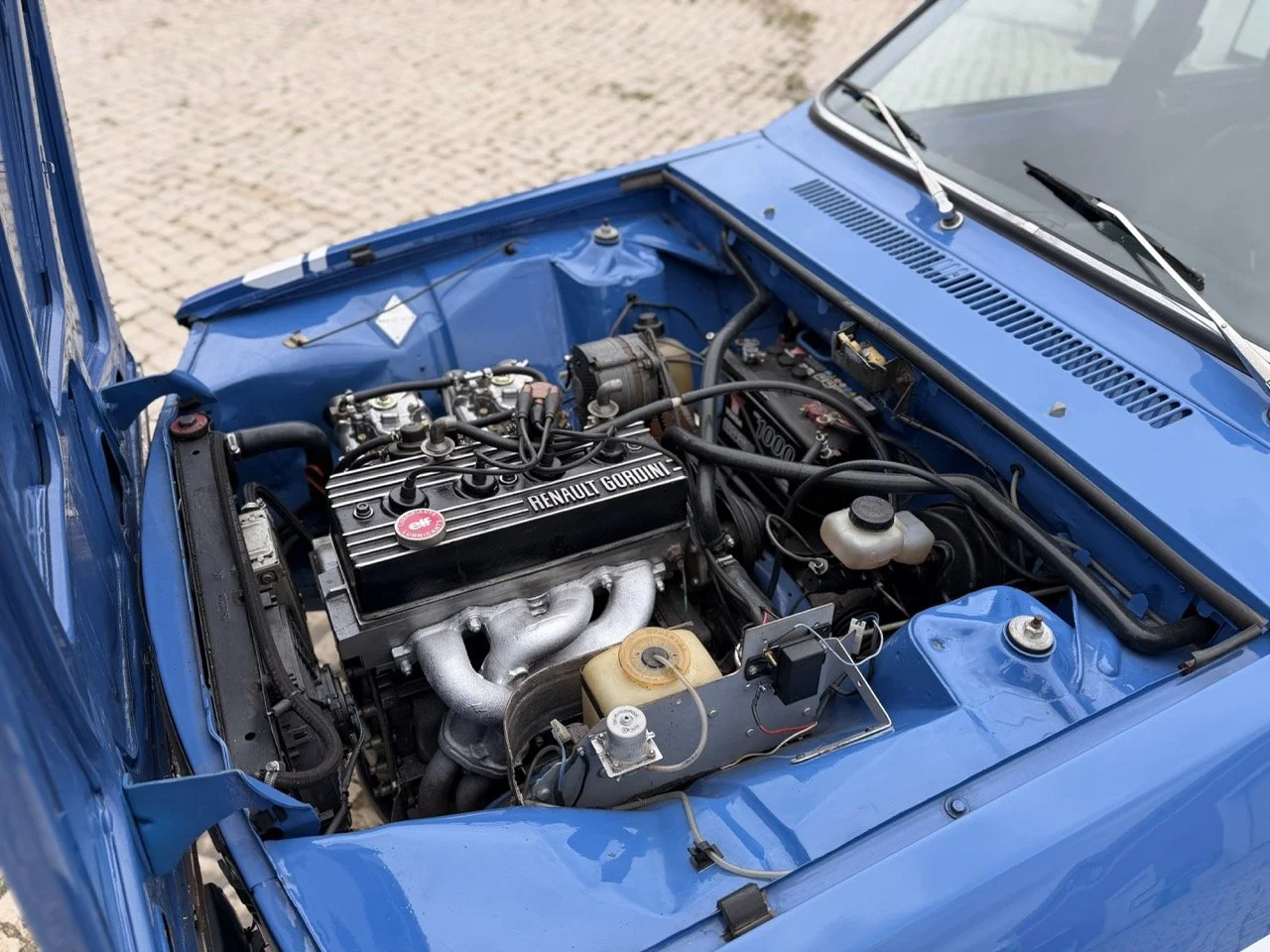 IMG_6002 – grande.jpeg