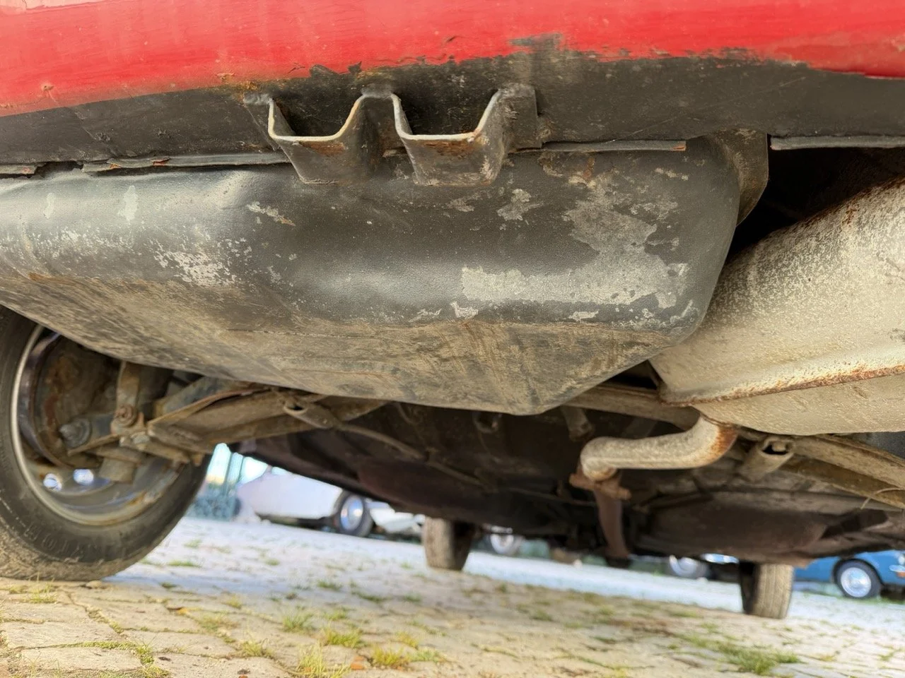 IMG_7228 – grande.jpeg