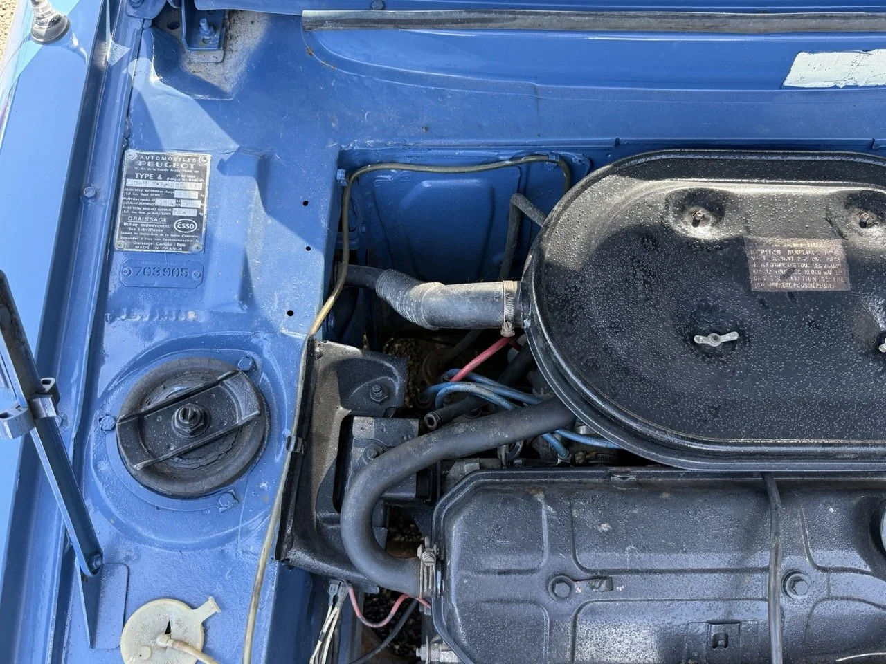 IMG_0793 – grande.jpeg