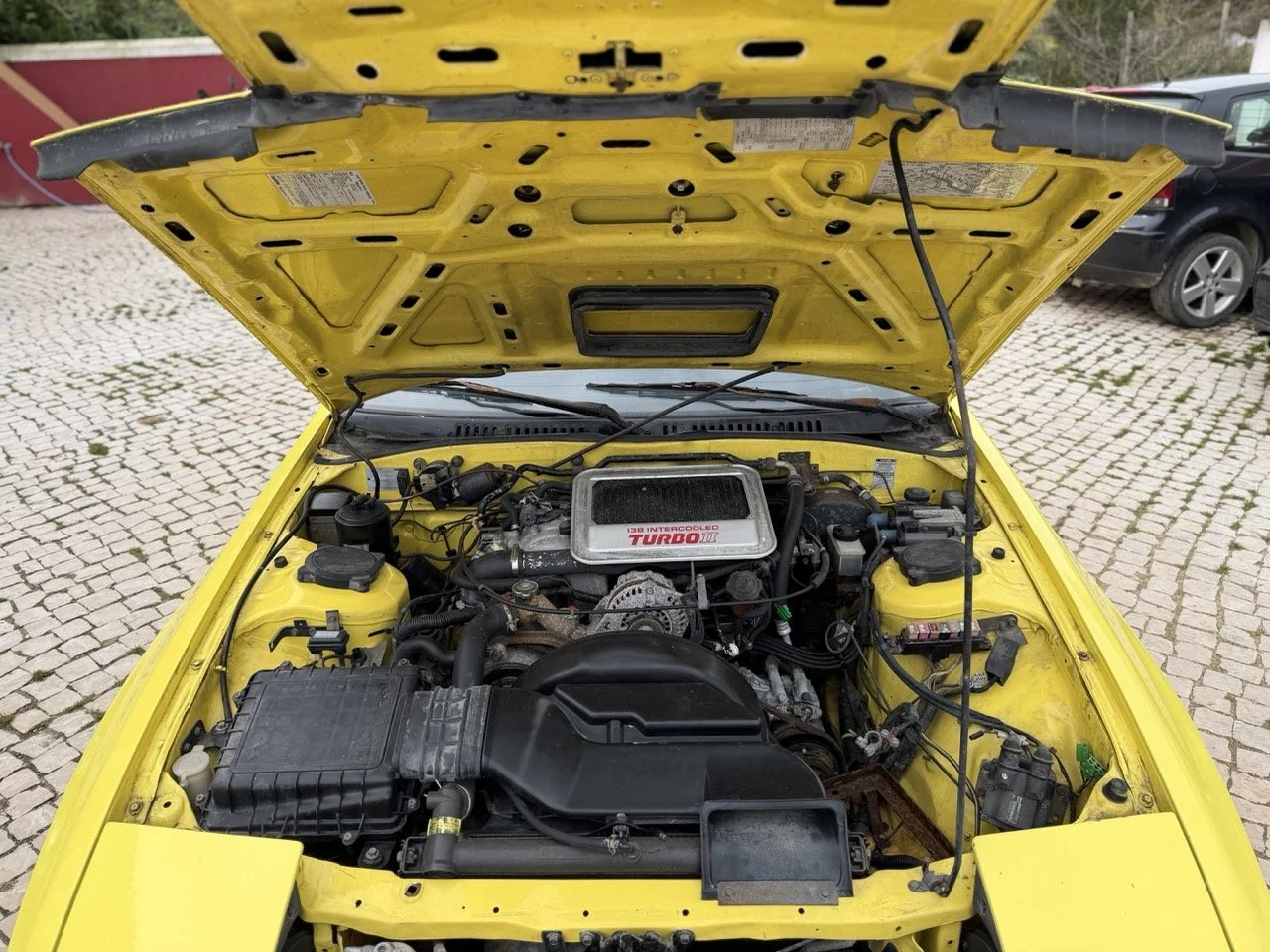 IMG_9742 – grande.jpeg