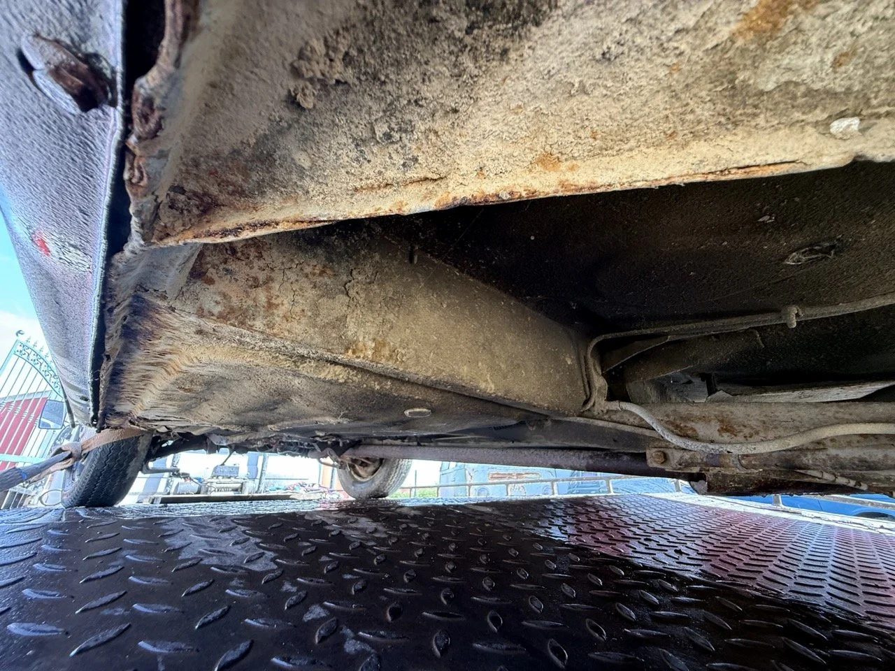 IMG_3484 – grande.jpeg