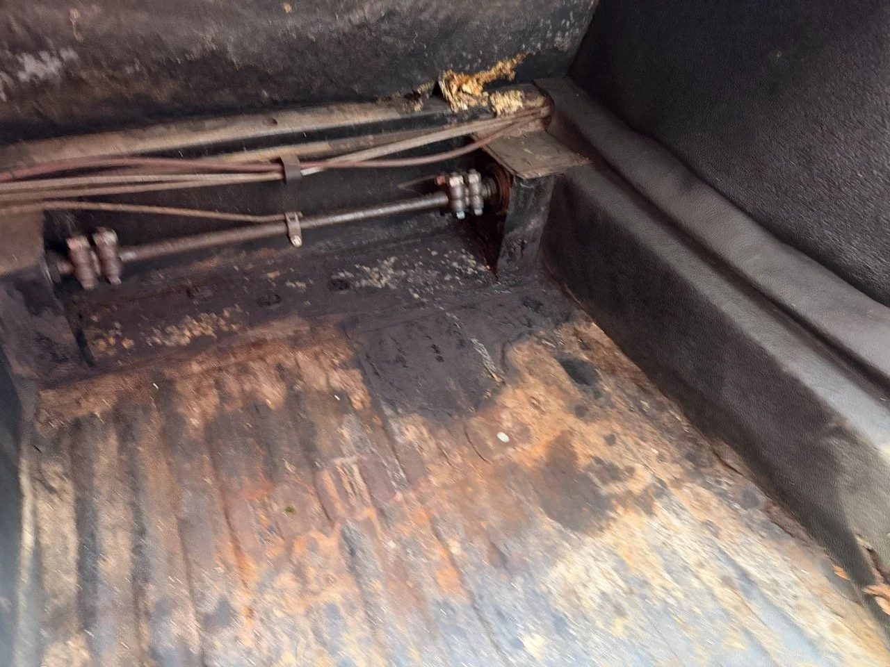 IMG_5946 2 – grande.jpeg